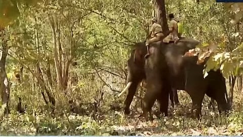 കുങ്കിയാനയെ കാട്ടിലേക്കെത്തിക്കുന്നു