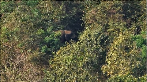 എക്സ്പ്രസ് ഫയൽ ചിത്രം