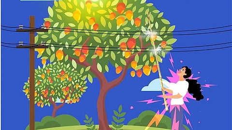 വൈദ്യുതി ലൈനുകള്ക്ക് സമീപം മുളന്തോട്ടി ഉപയോഗിക്കുന്നത് സുരക്ഷിതമല്ലെന്ന് കെഎസ്ഇബി