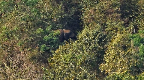 ബേലൂര് മഖ്ന വീണ്ടും ജനവാസ മേഖലയില്