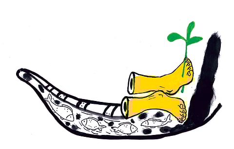 സച്ചിദാനന്ദന് എഴുതിയ കവിത ഞാങ്ങണ