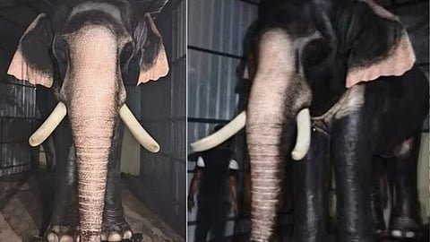 ഗൂഡല്ലൂരിലെ ശ്രീശങ്കരന് കോവിലില് ആദ്യ റോബോട്ടിക് ആനയെ നടയ്ക്കിരുത്തിയപ്പോള്