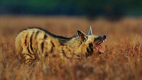 പ്രതീകാത്മക ചിത്രം