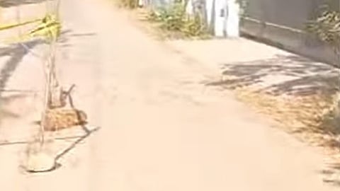 സംഭവം നടന്ന ചേർത്തലയിലെ മോർച്ചറി റോഡ്