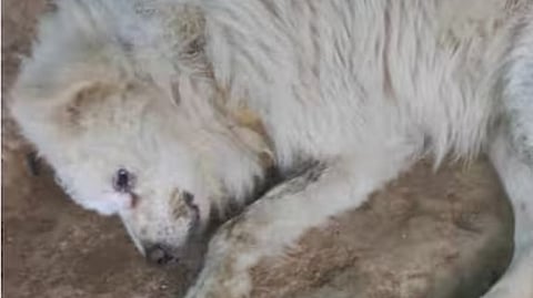 ടെലിവിഷന് ദൃശ്യം