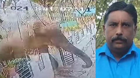 മാനന്തവാടി ജനവാസമേഖലയില് ഇറങ്ങിയ കാട്ടാന-കൊല്ലപ്പെട്ട അജി