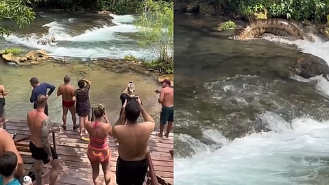 പുഴയിൽ കണ്ട അനാക്കോണ്ടയുടെ ചിത്രം പകർത്തുന്ന സഞ്ചാരികൾ