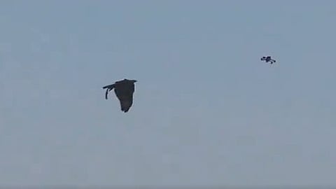 ഡ്രോണുകളെ നേരിടാന് പരുന്തുകളെ ഇറക്കി തെലങ്കാന പൊലീസ്