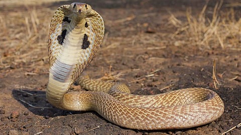 പ്രതീകാത്മക ചിത്രം