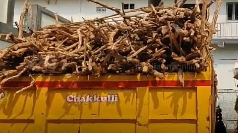 ഒറ്റപ്പാലത്ത് വൻ ചന്ദനവേട്ട