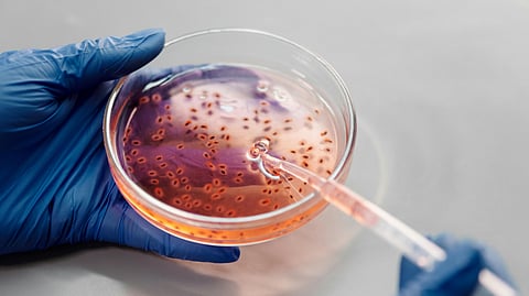 ജപ്പാനിൽ ആശങ്ക പടർത്തി അപൂർവ ബാക്ടീരിയൽ അണുബാധ