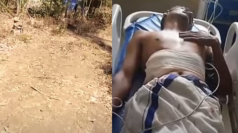 കാട്ടുപന്നി ആക്രമണം നടന്ന സ്ഥലം, കാട്ടുപോത്ത് ആക്രമണത്തിൽ പരിക്കേറ്റ രാജീവ്