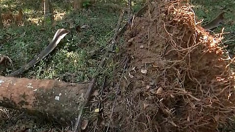 വനംവകുപ്പിനെതിരെ പൊലീസിൽ പരാതി നൽകി നാട്ടുകാർ