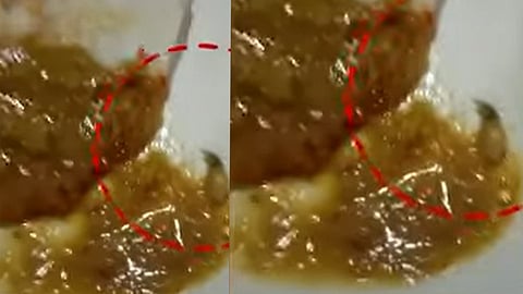 കൊച്ചിയിൽ ഭക്ഷണസുരക്ഷാ വകുപ്പിന്റെ പരിശോധന