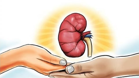 ലോക വൃക്ക ദിനം