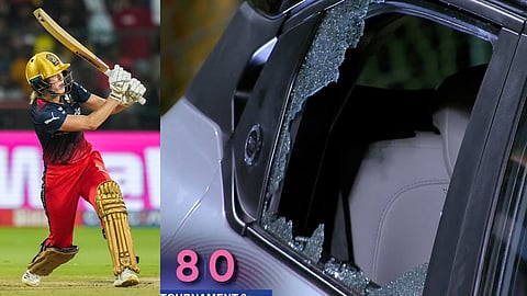 എല്ലിസ് പെറി