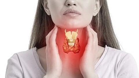 തൈറോയ്ഡ്