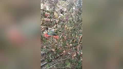 ചൂടുകാലത്ത് തുളസിയിട്ടു തിളപ്പിച്ച വെള്ളം