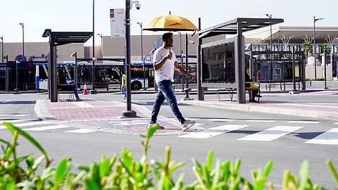 'ഷെയേര്ഡ് കുടകള്', സൗജന്യ സേവനവുമായി ആര്ടിഎ