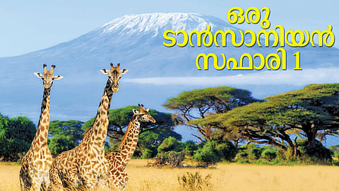 ഹക്കുന മറ്റാറ്റ