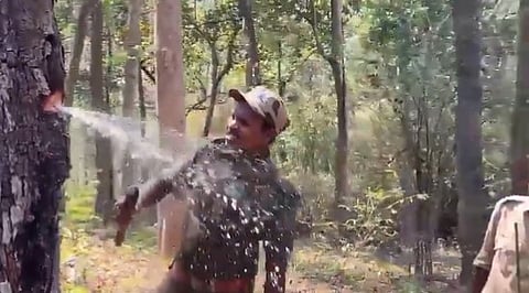 മരം മുറിച്ചപ്പോല് പൈപ്പ് തുറന്നതുപോലെ വെളളം