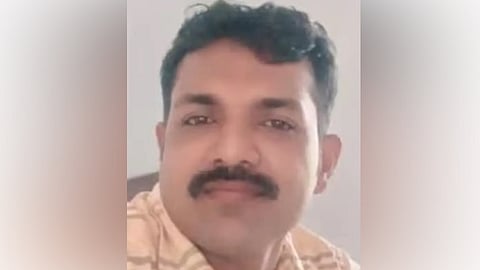 falling from the jackfruit tree