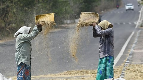 International Labour Day 2025