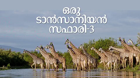 വിതയ്ക്കേണ്ട, കൊയ്യേണ്ട, കളപ്പുരകള് നിറയ്ക്കേണ്ട; നീന്തടാ, നീന്ത്
