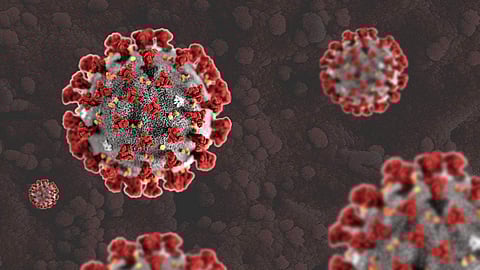 covid virus