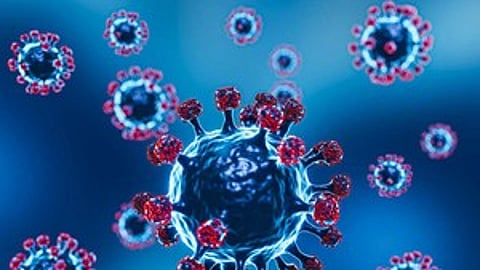 COVID-19 second-leading cause of death globally in 2021