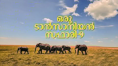 ''ഞാന് മസായിയാണ്, എല്ലാവരും അങ്ങനെ വിളിക്കുന്നു, ഞാന് വിളി കേള്ക്കും''; ആ വാക്കുകളില് സെരങ്കട്ടിയിലെ നക്ഷത്രങ്ങളെല്ലാം കെട്ടുപോയി