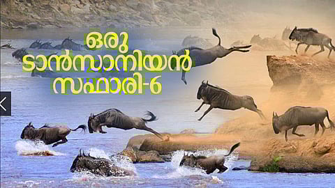 ''തുറന്നങ്ങു ചിരിക്ക് പെണ്ണേ; കഴുത്തിലെ കല്ലുമാലകളും വട്ടത്തളകളും അവളോട് കൊഞ്ചുന്നു''