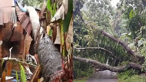 Heavy rain caused widespread damage