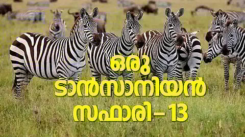 ''പുല്മൈതാനത്തെ കടുംപച്ചയും ഇളം പച്ചയുമെന്നു വേര്തിരിച്ചിടുന്നു; ഗോരംഗോരോയില് ചുറ്റിത്തിരിയുന്ന മേഘങ്ങളുടെ നിഴലുകള്''