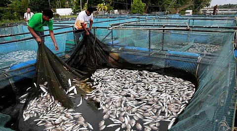 Periyar fish-mass-death district administration handed report to the state government