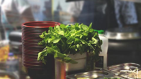 mint health benefits