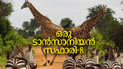 ''ഞങ്ങളങ്ങനെ കാടിന്റെ മണം പിടിച്ചിരുന്നു; പിന്നെ നക്ഷത്രങ്ങളെ എണ്ണിയെണ്ണി ഉറക്കത്തിലേക്കിറങ്ങിപ്പോയി''