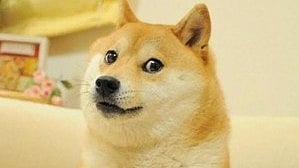 Popular dog Kabosu, who inspired cryptocurrency Dogecoin & Shiba Inu, dies