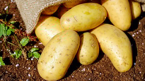 Cop suspended for asking for 5kg potatoes as bribe