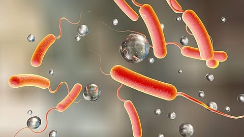Presence of coliform bacteria in samples of DLF Flats