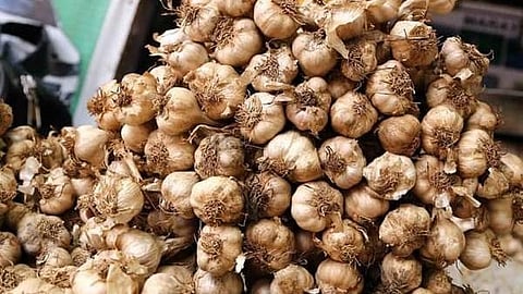 vegetable price rising