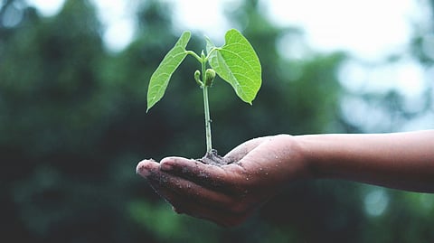 World Environment day