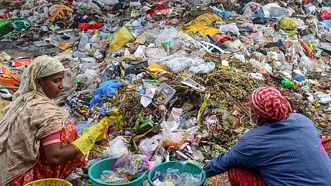 Rewards for catching litterers complaint  made on WhatsApp