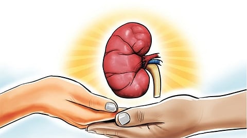 guidelines for transportation of organs