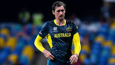 Starc Becomes Highest Wicket-taker