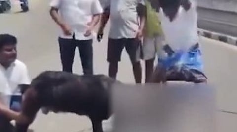 TN BJP takes umbrage to video showing public slaying of goat carrying Annamalai's photo