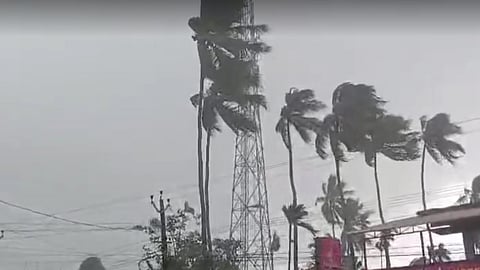 Cyclone Dana will make landfall tomorrow; Which areas will be directly affected? Everything you need to know