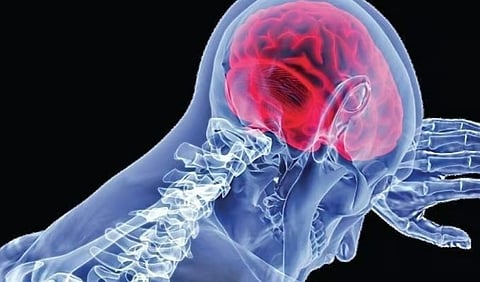 All  people who were under treatment for amoebic brain fever left the hospital