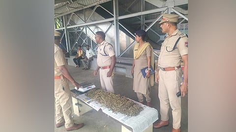 cannabis seized from sabari express