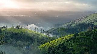 Don't forget to visit these places if you go to Munnar